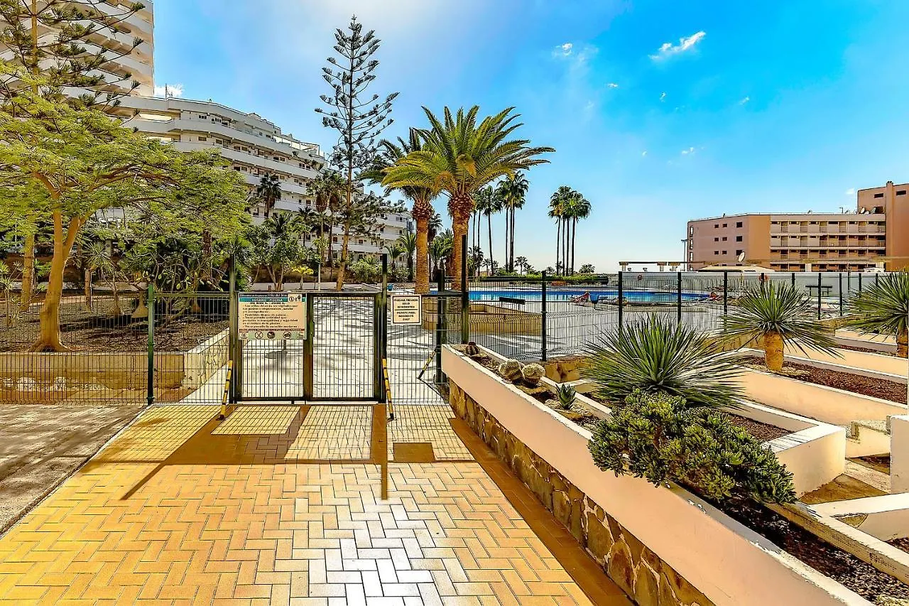 217 Elegant Vina Del Mar Pool View, Parking, Ac Apartment Playa de las Americas  0*, Playa de las Americas (Tenerife)